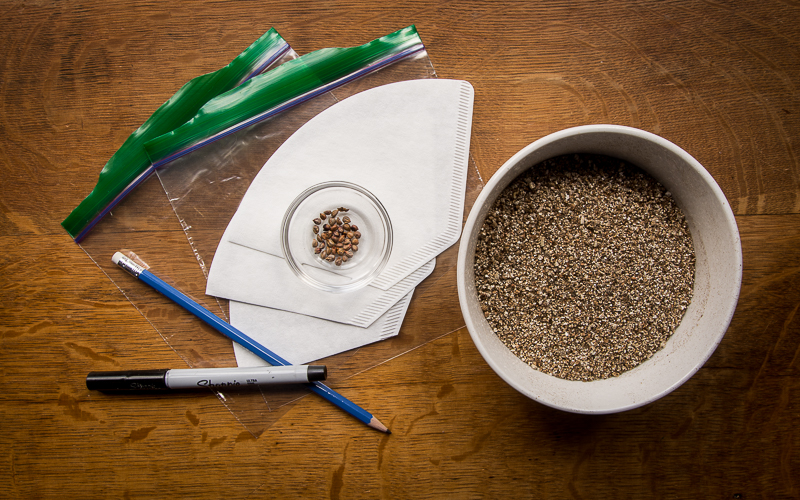 Materials needed for cold, moist stratification seed treatment. Plastic bags, coffee filters, vermiculite, pencils, permanent marker.