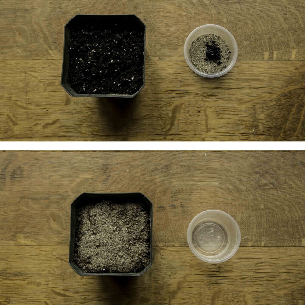 If your seeds are very small and clumped together, add the seeds to a small amount of sand. Mix the sand and seeds together and then spread the mixture over your potting soil.