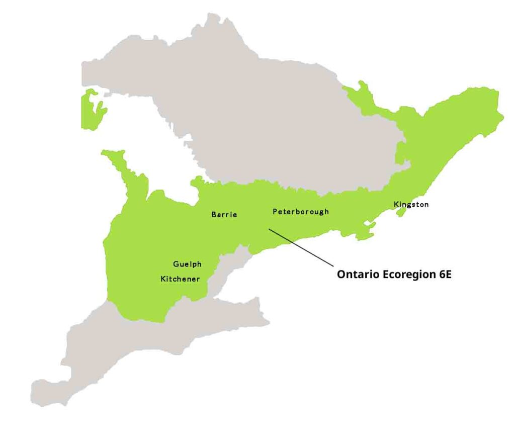 Map of Ecoregion 6E in Ontario, where we source our native plant seeds.